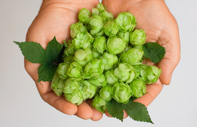 Similar image 923010