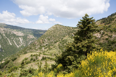 Similar image 923017