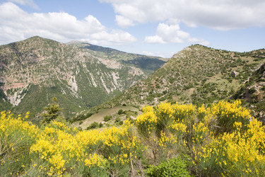 Similar image 923021