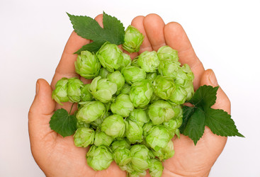 Similar image 923024