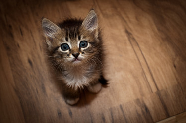 Similar image 923032