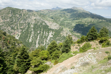 Similar image 923037