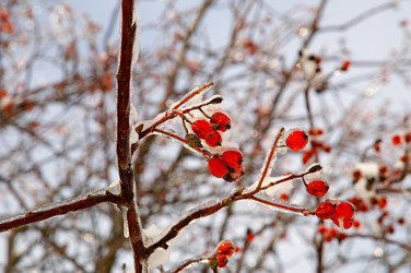 Similar image 923047