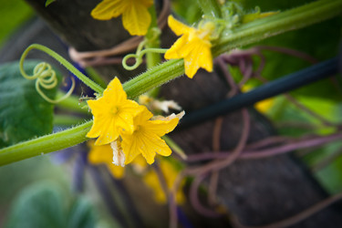 Similar image 923076