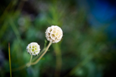 Similar image 923083