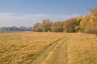 Similar image 923087