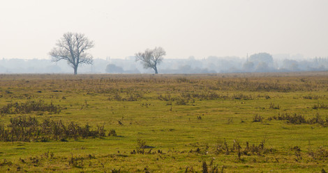 Similar image 923092