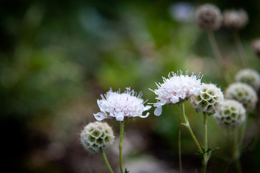 Similar image 923095