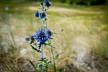 Similar image 923102