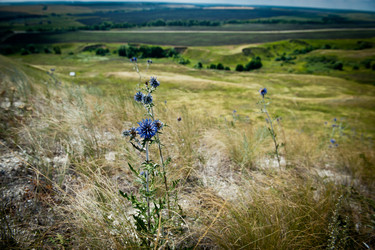 Similar image 923103