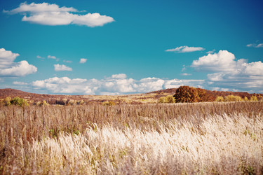 Similar image 923108