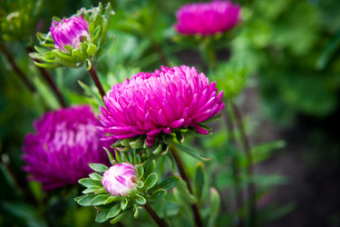 Similar image 923114