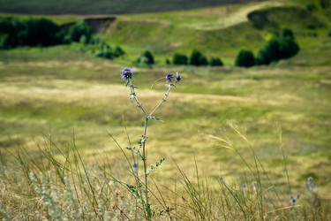 Similar image 923121