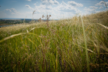 Similar image 923128