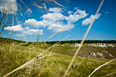 Similar image 923135