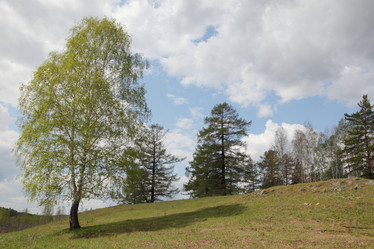 Similar image 923141