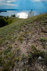 Similar image 923149