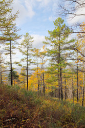 Similar image 923151