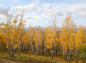 Similar image 923153