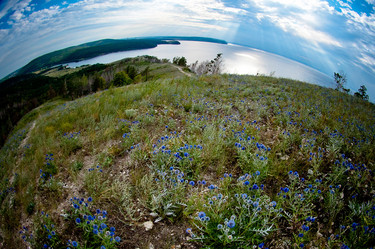 Similar image 923170