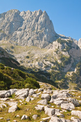 Similar image 923239