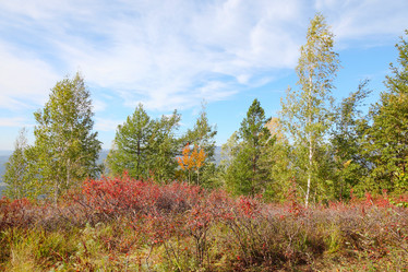 Similar image 923298