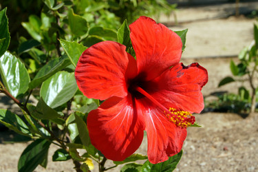 Similar image 923307