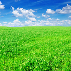 Similar image 923333