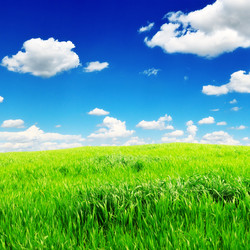 Similar image 923339