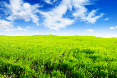 Similar image 923342