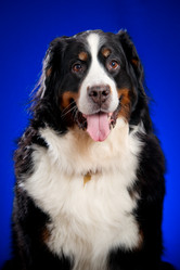 Similar image 923393