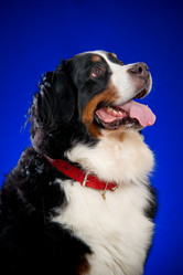 Similar image 923394