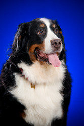 Similar image 923395