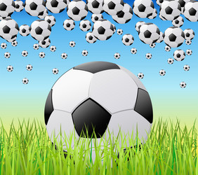 Similar image 923455