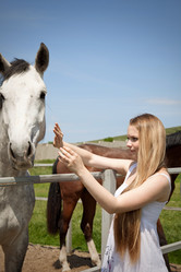 Similar image 923534