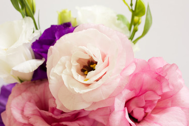 Similar image 923543