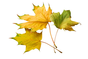 Similar image 923562