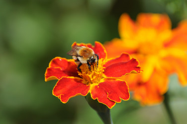 Similar image 923569