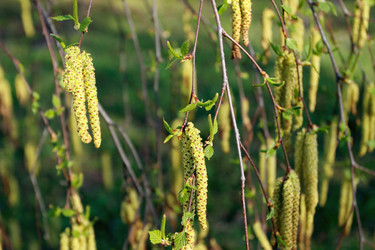 Similar image 923581