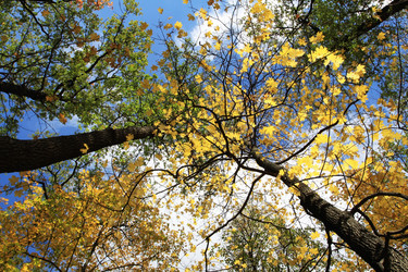 Similar image 923595