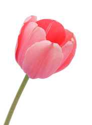 Similar image 923642