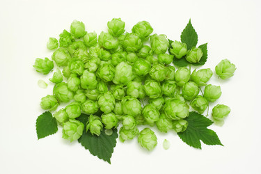 Similar image 923650