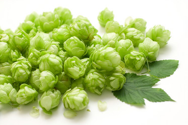 Similar image 924052