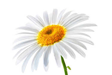 Similar image 924111