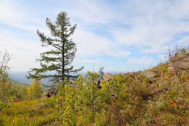 Similar image 924250