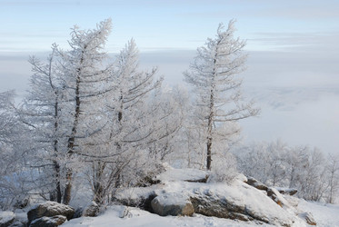 Similar image 924290