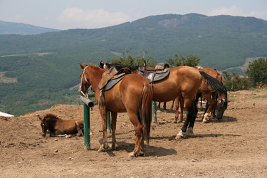 Similar image 924352