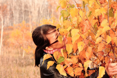 Similar image 924359