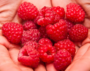 Similar image 924360