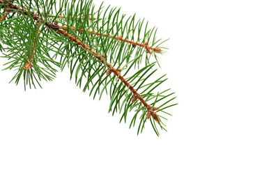 Similar image 924361